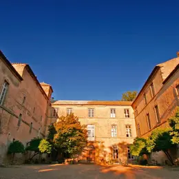 Fête De Fin Des Vendanges Au Château De Luc