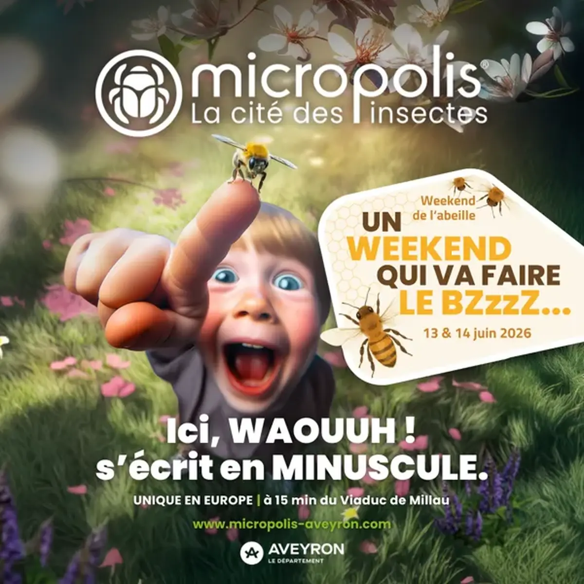 Fête de l'Abeille - Micropolis