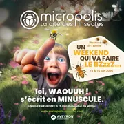 Fête de l'Abeille - Micropolis