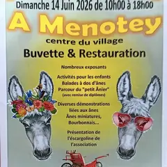 Fête de l' Ane