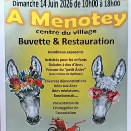 Fête de l' Ane