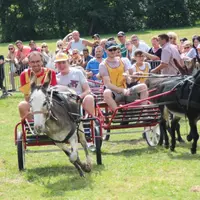 Les animations autour de l'âne sont nombreuses &copy; Ronde des fêtes