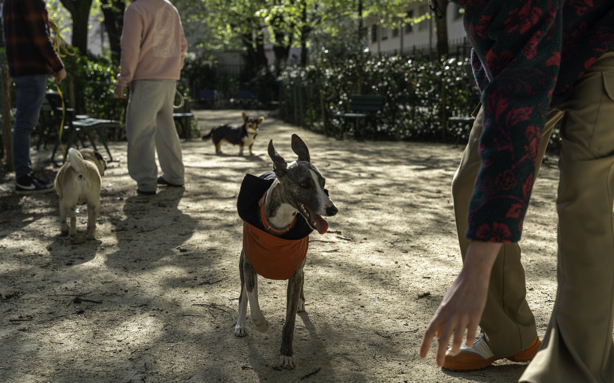 Espace canin - Square Jules Durand