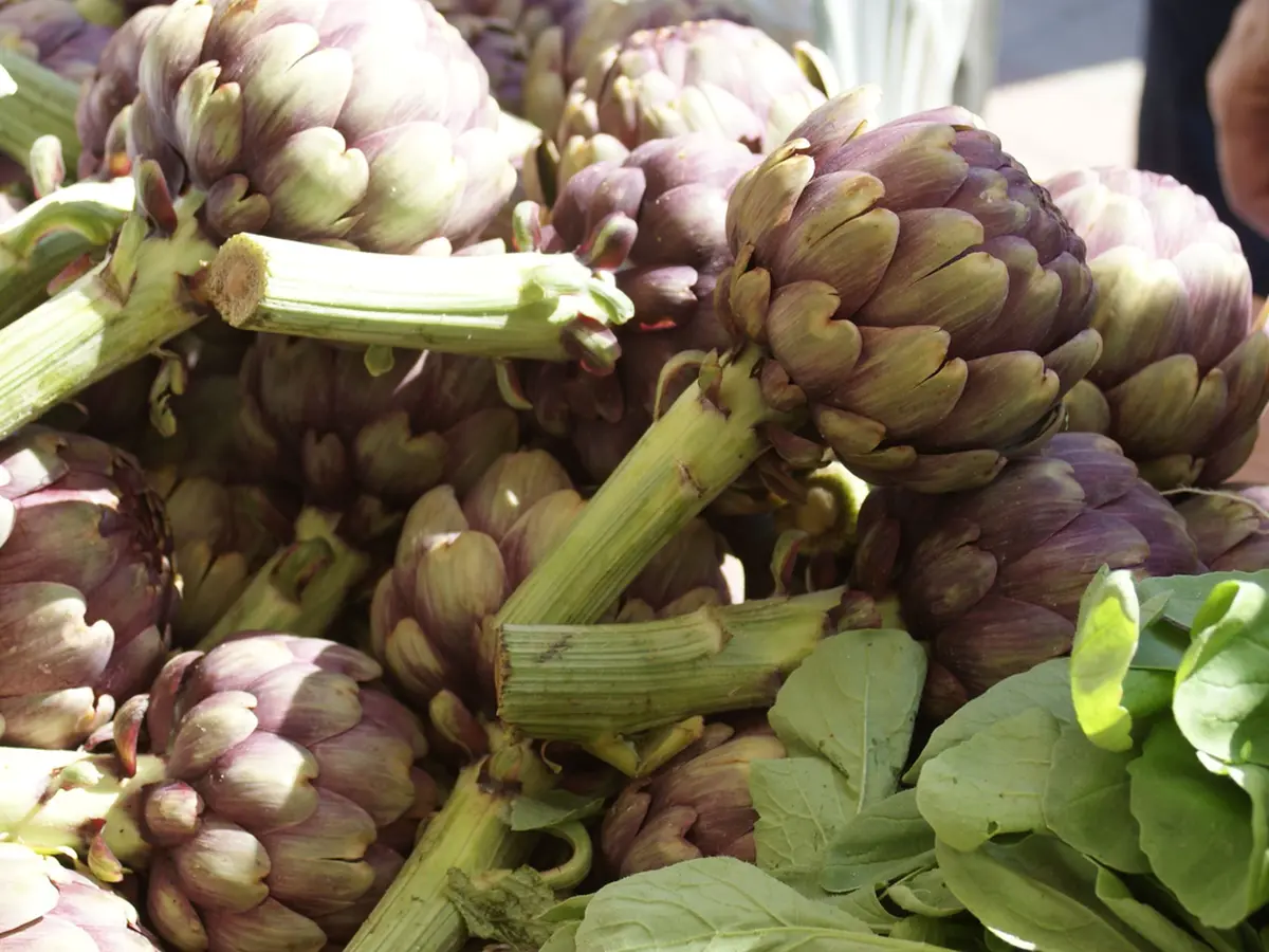 Fête De L'Artichaut