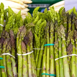 Fête de l'asperge à Raimbeaucourt