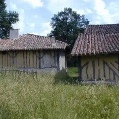 Fête de l'automne