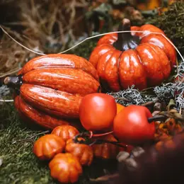 Fête de L'automne