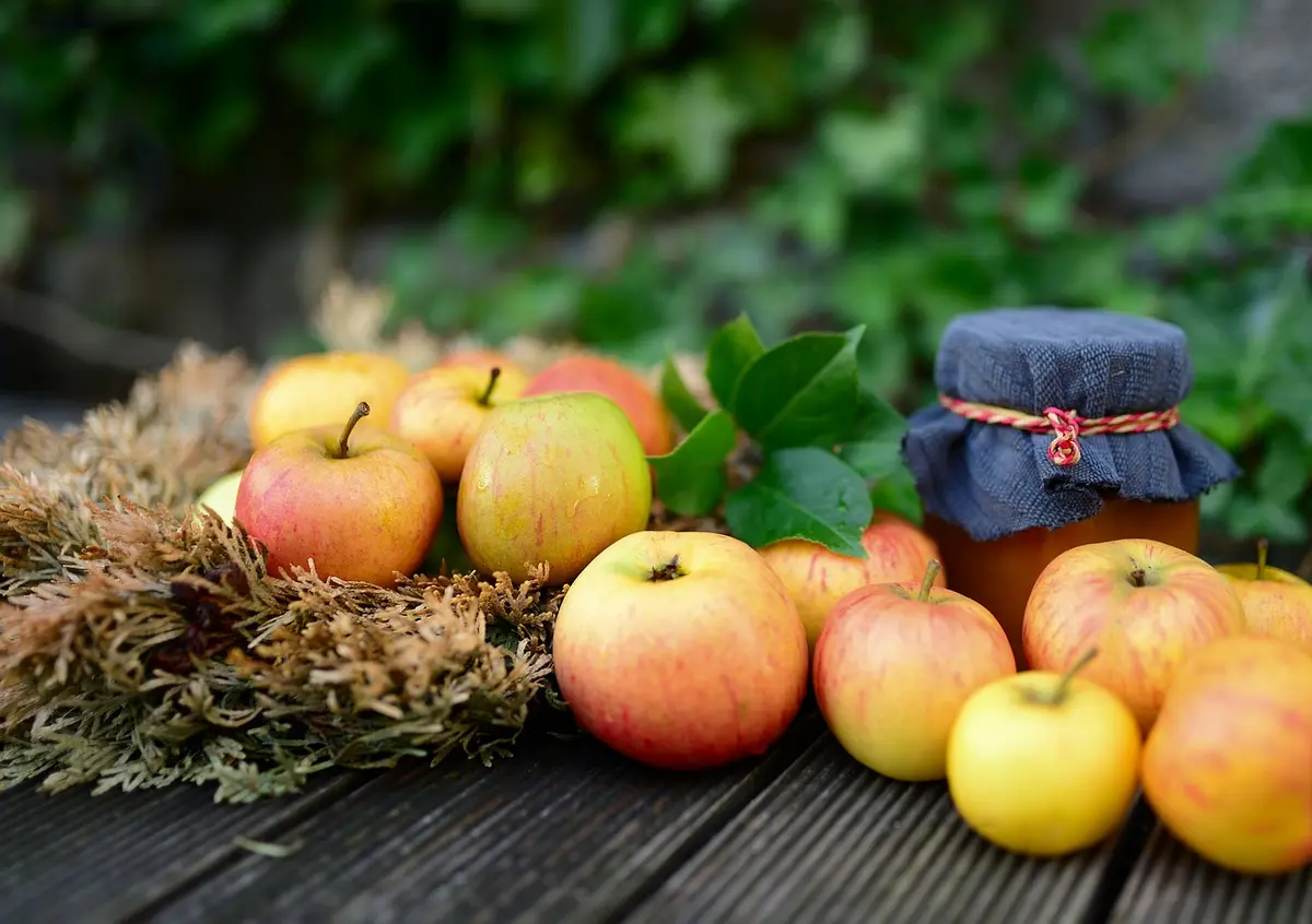 Fête de l'automne