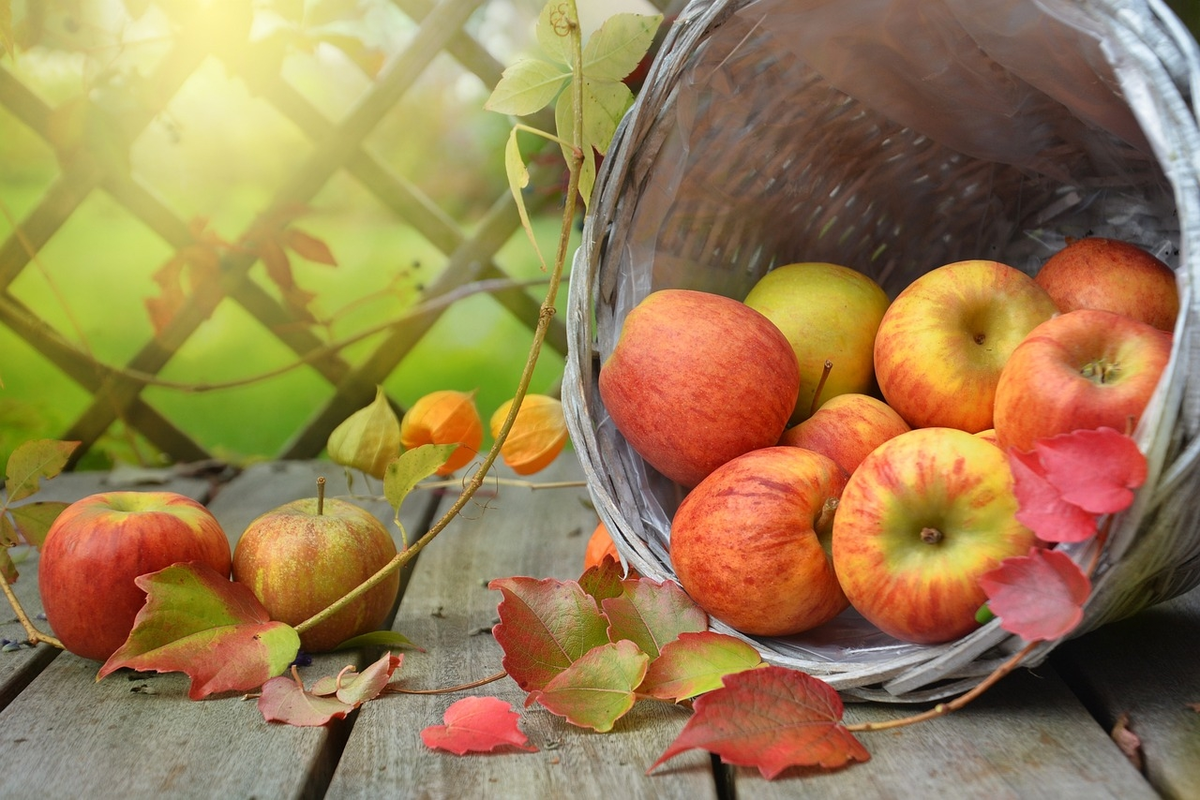 Fête de l'Automne