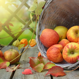 Fête de l'Automne