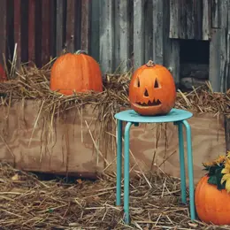Fête de l'automne à Lu Chamçac