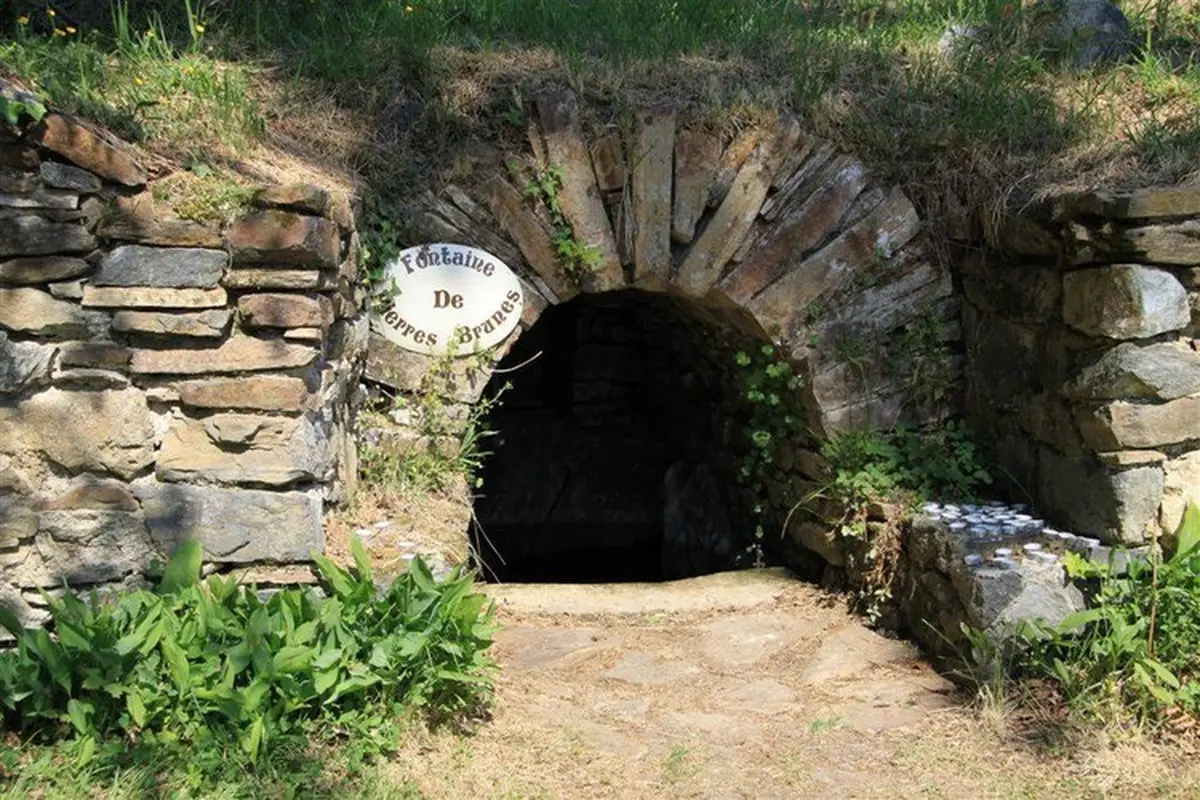 Fête de l'églantine