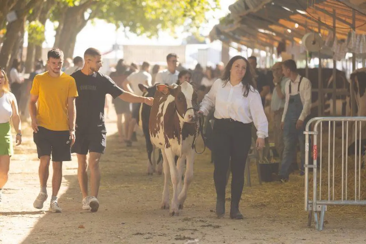 Fête de l'élevage