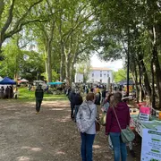 Fête De L'Environnement