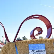 Où aller à Dijon ce week-end du 20 au 22 février 2026 ? 6 idées sorties