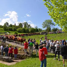 Fête de l'estive 2027