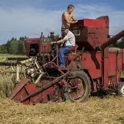 Fête de la batteuse à La Celle-Condé