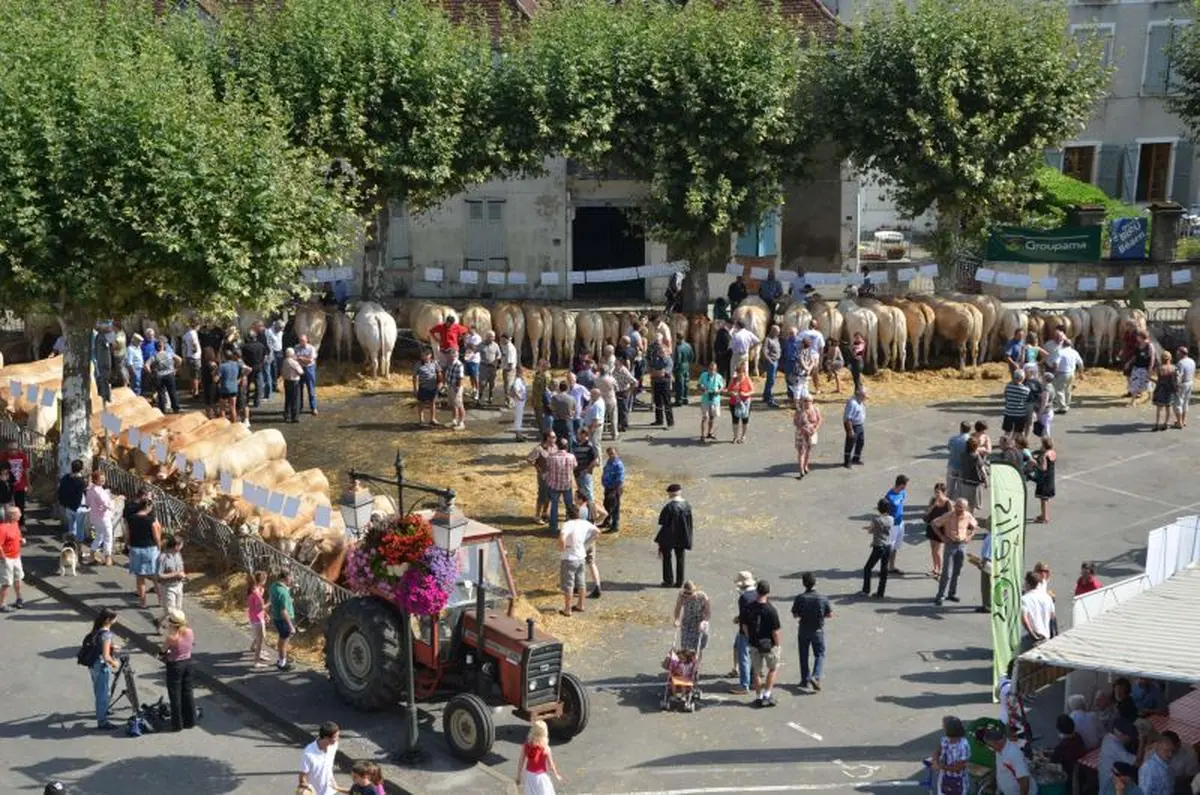 Fête de la Blonde d'Aquitaine