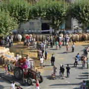 Fête de la Blonde d'Aquitaine