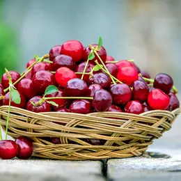 Fête de la Cerise à Itxassou 2026