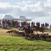 Fête de la Chasse