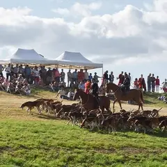 Fête de la Chasse