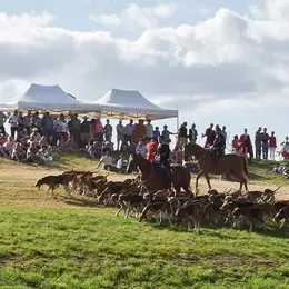 Fête de la Chasse