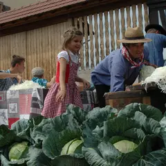 Fête de la choucroute à Geispolsheim 2026