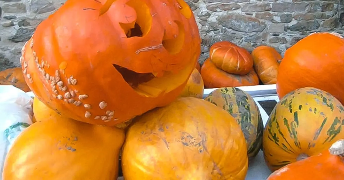 Fête de la citrouille