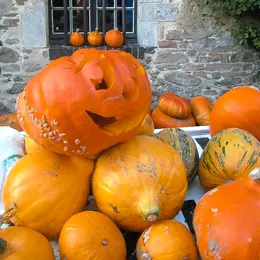 Fête de la citrouille