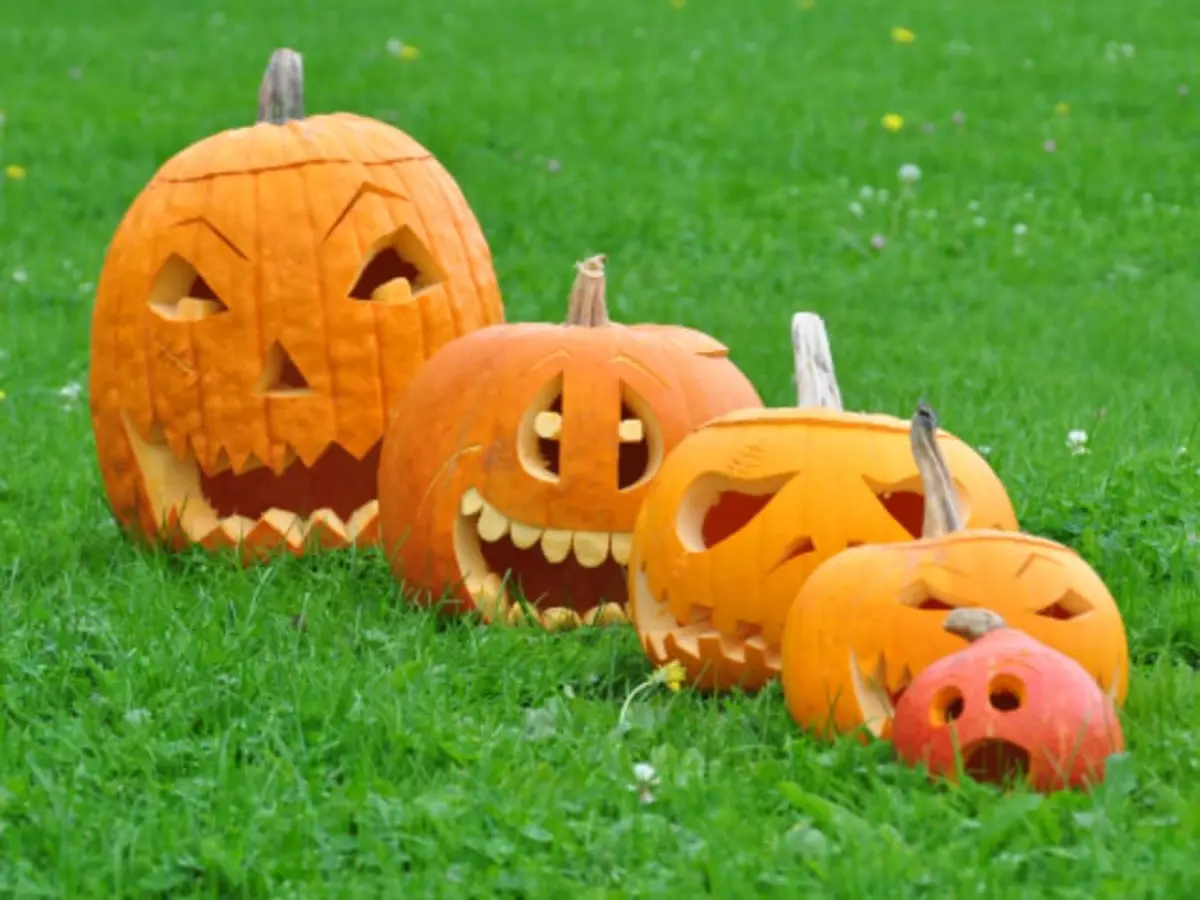 Fête de la Citrouille à la Ferme de Gally de Sartrouville  (78)