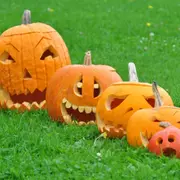 Fête de la Citrouille à la Ferme de Gally de Sartrouville  (78)