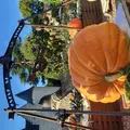 Fête de la citrouille et de l'automne au Château du Rivau