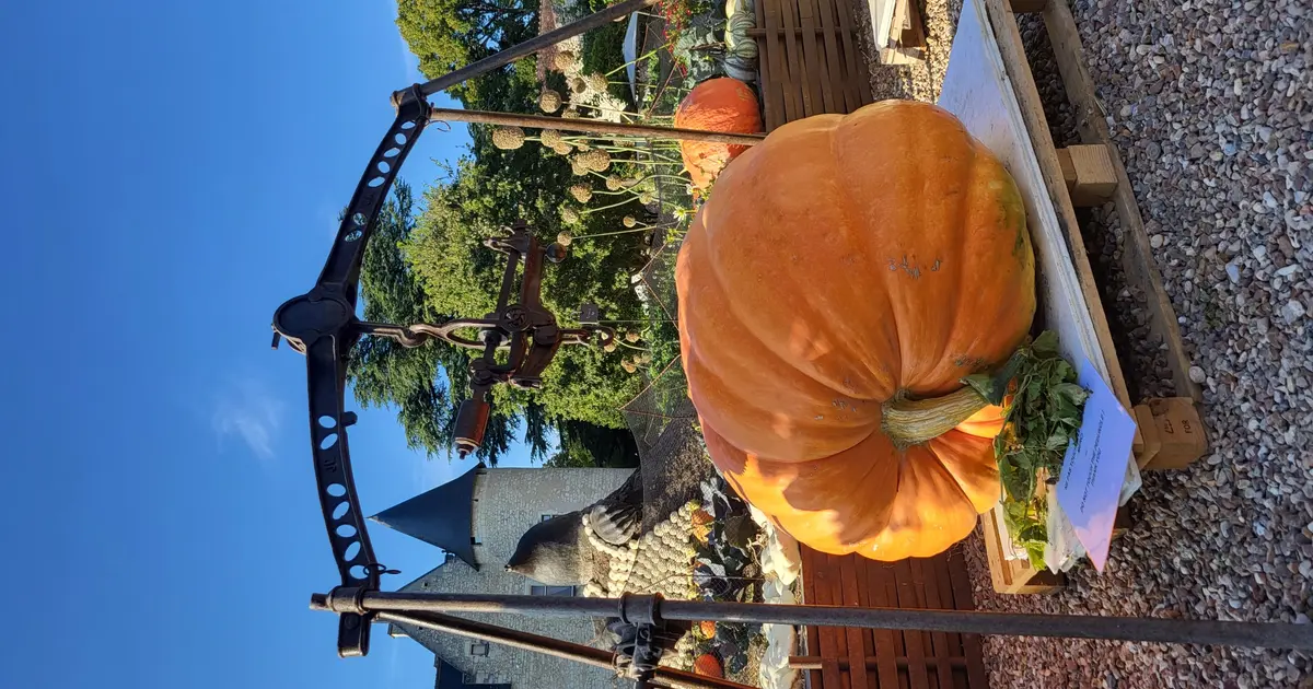 Fête de la citrouille et de l'automne au Château du Rivau