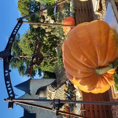 Fête de la citrouille et de l'automne au Château du Rivau