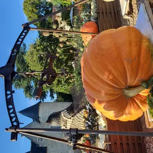 Fête de la citrouille et de l'automne au Château du Rivau