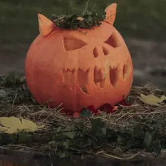 Fête de la citrouille et Halloween, à la Cueillette de l'Aragnon