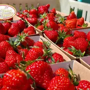 Fête de la fraise