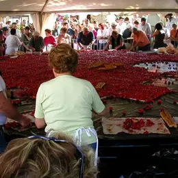 Fête de la Fraise 2027 à Beaulieu-sur-Dordogne
