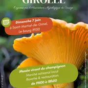 Fête de la girolle