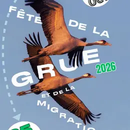Fête de la grue : Atelier nichoir