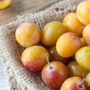 Fête de la Mirabelle à Metz 2026