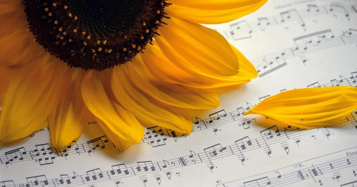 Fête de la musique