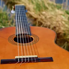 Fête de la musique