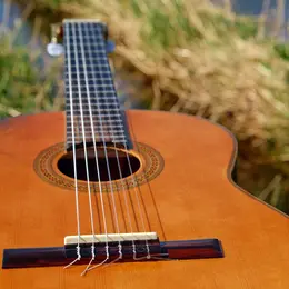 Fête de la musique
