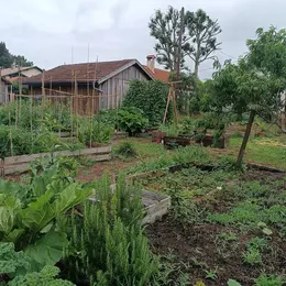 Fête de la musique