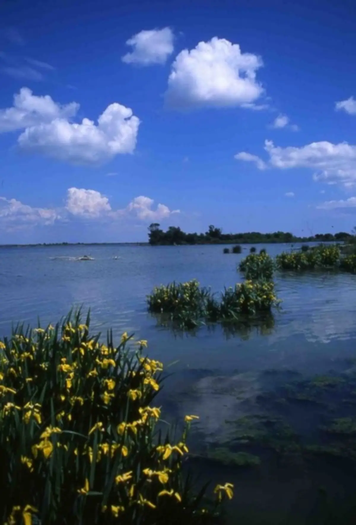 Fête de la nature 2026 : Visite guidée au domaine de la Palissade