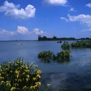 Fête de la nature 2026 : Visite guidée au domaine de la Palissade