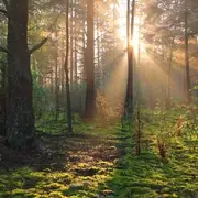 Fête de la nature