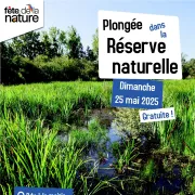 Fête de la Nature à Courteranges : Plongée dans la réserve naturelle